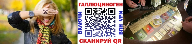 Галлюциногенные грибы Psilocybine cubensis Протвино