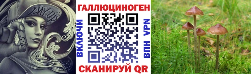 Галлюциногенные грибы Cubensis  MEGA маркетплейс  Протвино 
